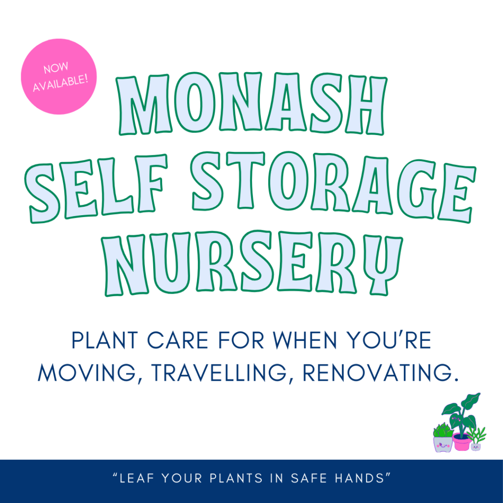 STORAGE & PLANT CARE WHILE YOU ARE AWAY
